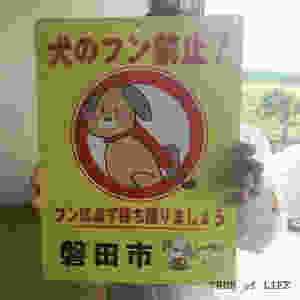 犬のフン禁止
