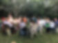 SB_4262162604.jpg