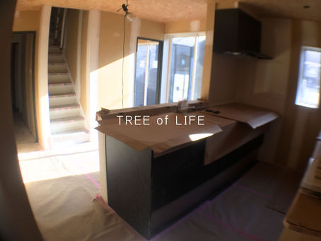 【建設中】L字型の2世帯住宅11/キッチン設置と壁パテ処理