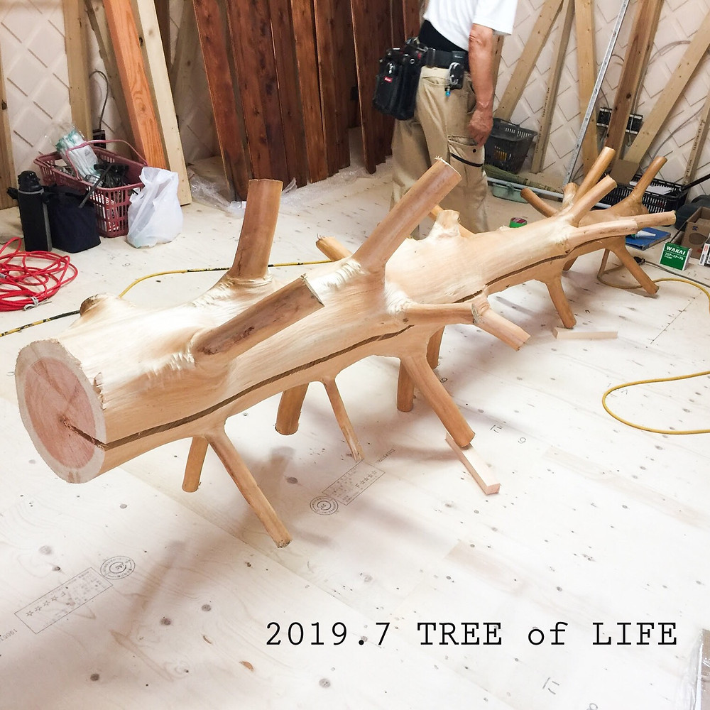 ⑧吉野杉