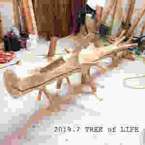 ⑧吉野杉
