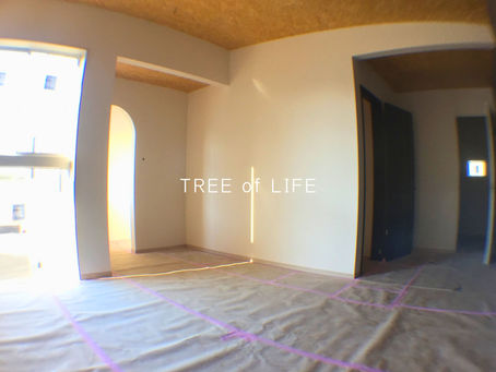 【建設中】L字型の2世帯住宅12/壁クロス施工中