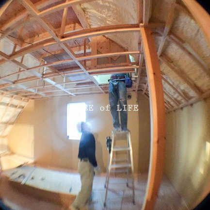 トップライト作業中