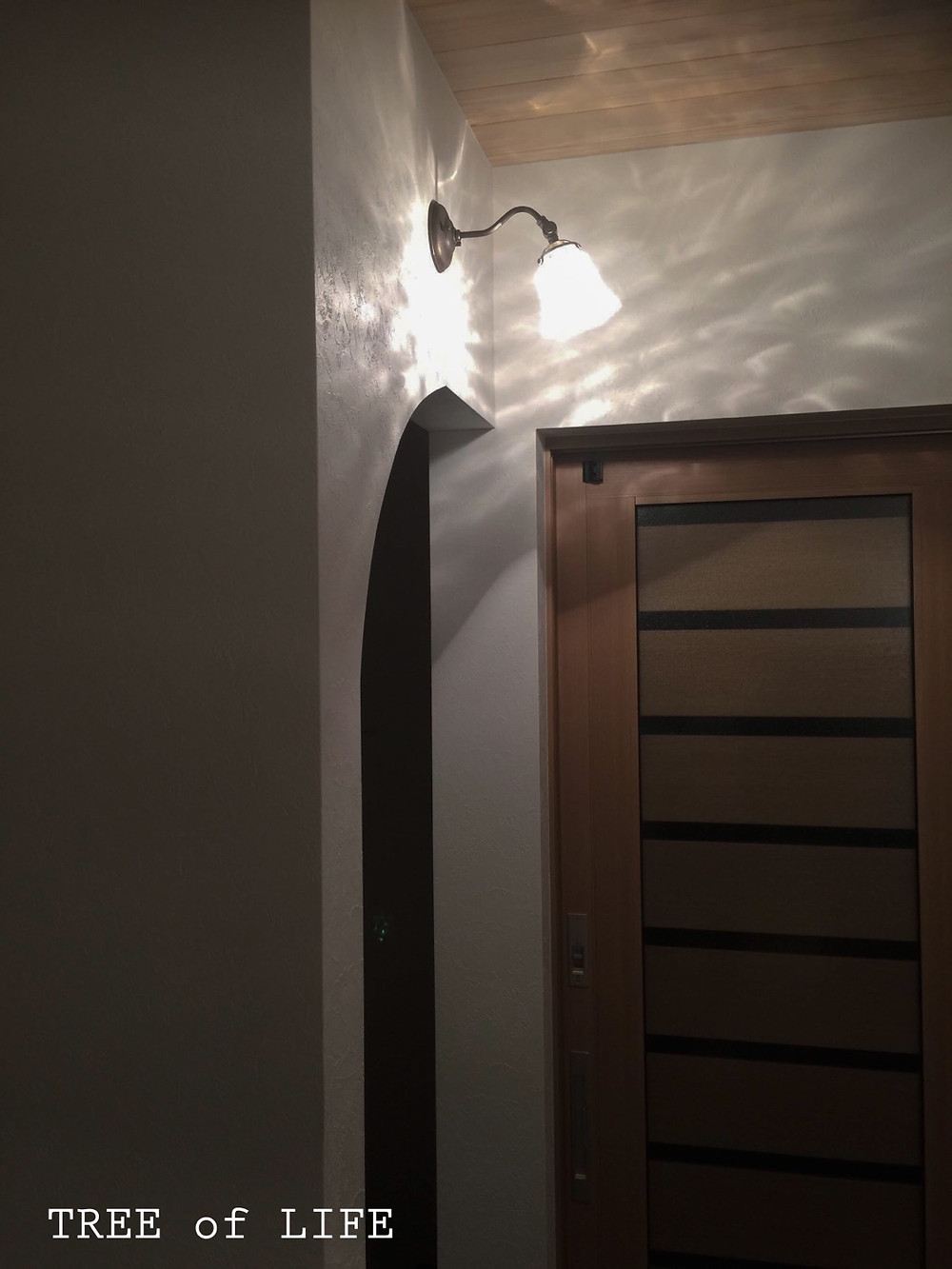玄関(室内)