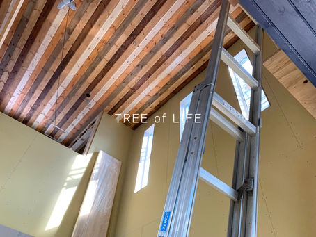 【建築中】インナーガレージのある家4/見応えのある天井と2階