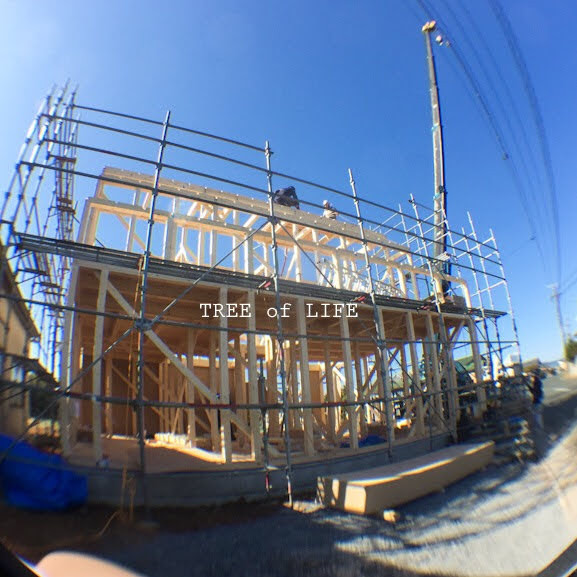 建て方中