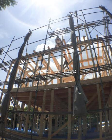 建て方