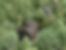 240703_RELIEF NORD_RENDUS_EXT7.jpg