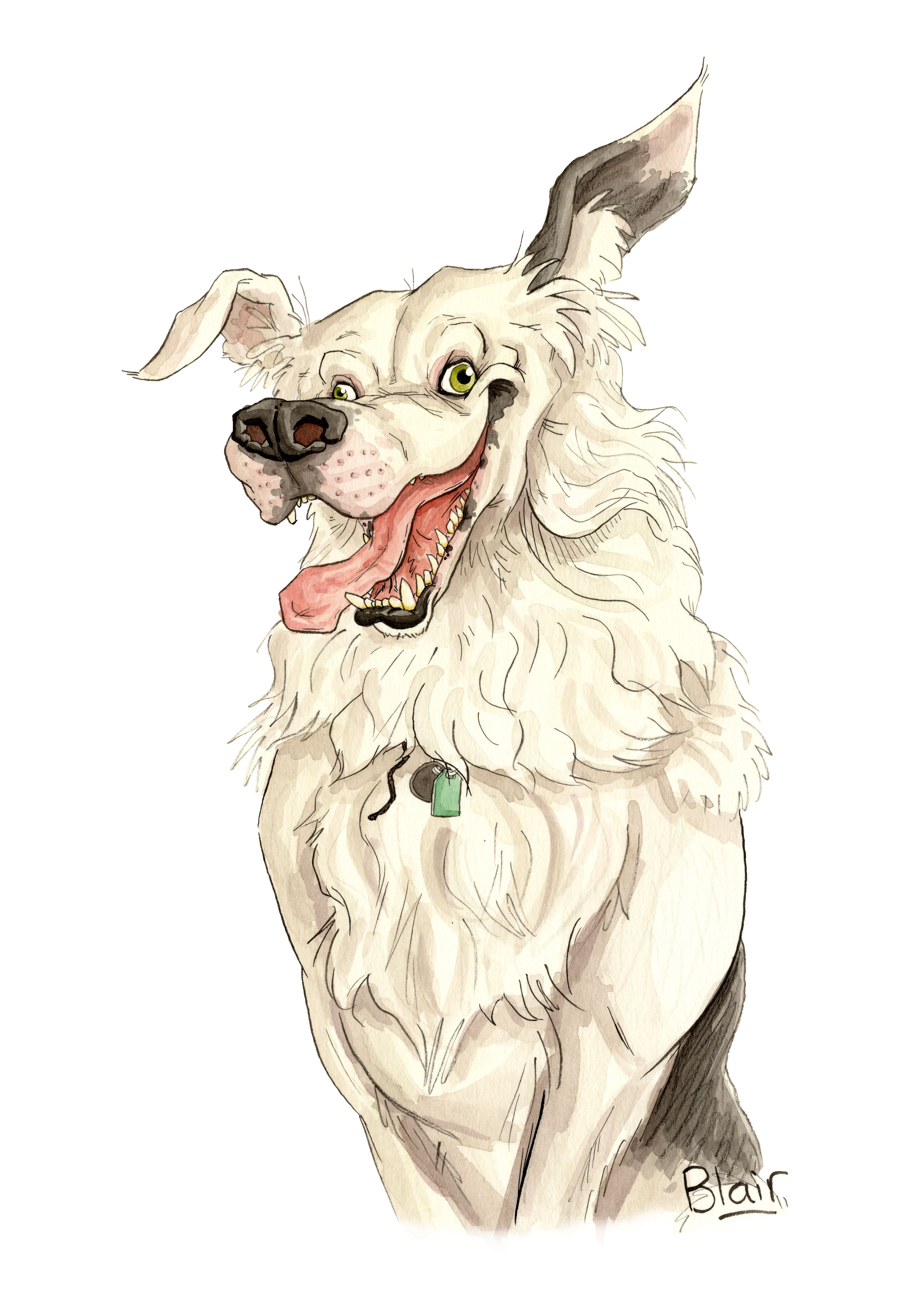 Bespoke Pet Caricature