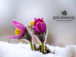 April in the Midwest: Sunshine, Snow, and Emotional Whiplash