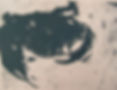Crab 3
