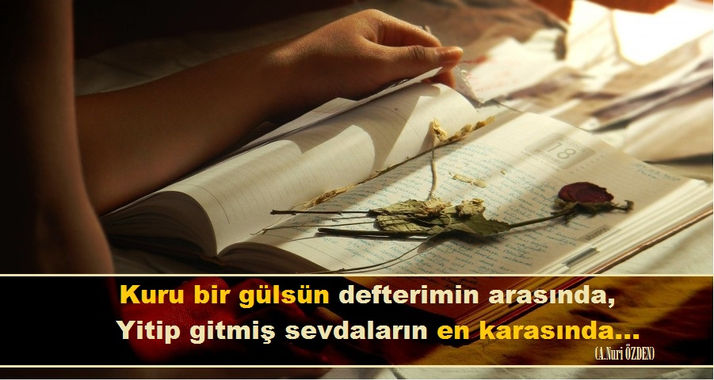 Kuru Bir Gülsün