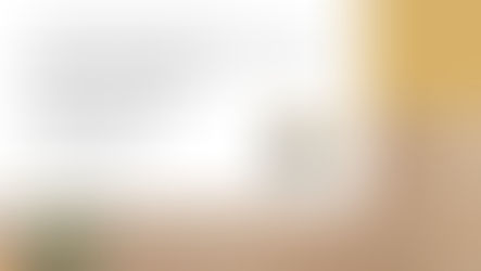 CASA BALLENA, UN ESPACIO QUE FUCIONA ARTE, IDENTIDAD Y ECOLOGÍA. 