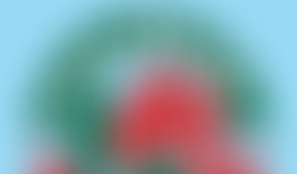 CASA SHEILA, UN LEGADO DE AMOR A FAVOR DE LOS ANIMALES .