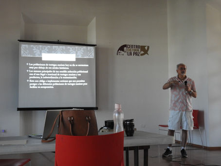 CRECIENTE EL PROBLEMA DE LA CONTAMINACIÓN LUMÍNICA