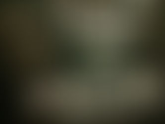 LOS CABOS EL LUGAR QUE LO TIENE TODO, PARA SACAR LA MODA MEXICANA AL MUNDO.