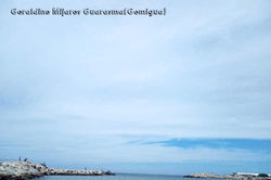 IMG-20191014-WA0037_InPixio