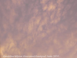 DSCN0986