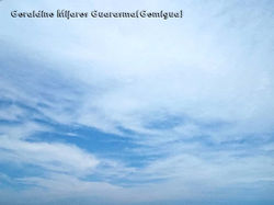 IMG-20191014-WA0051_InPixio
