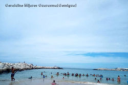 IMG-20191014-WA0038_InPixio