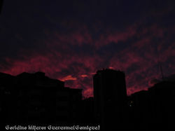 DSCN1138