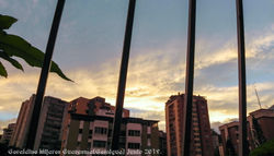 DSCN0989