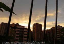 DSCN0990