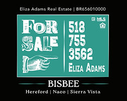 Eliza Bisbee Home Tour Ad 2026OCT14 V01 D_261014_115052.jpg
