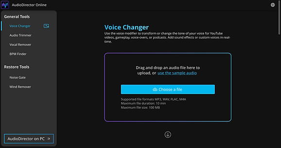 AudioDirector Online.png