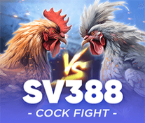 Sv388 Cockfight