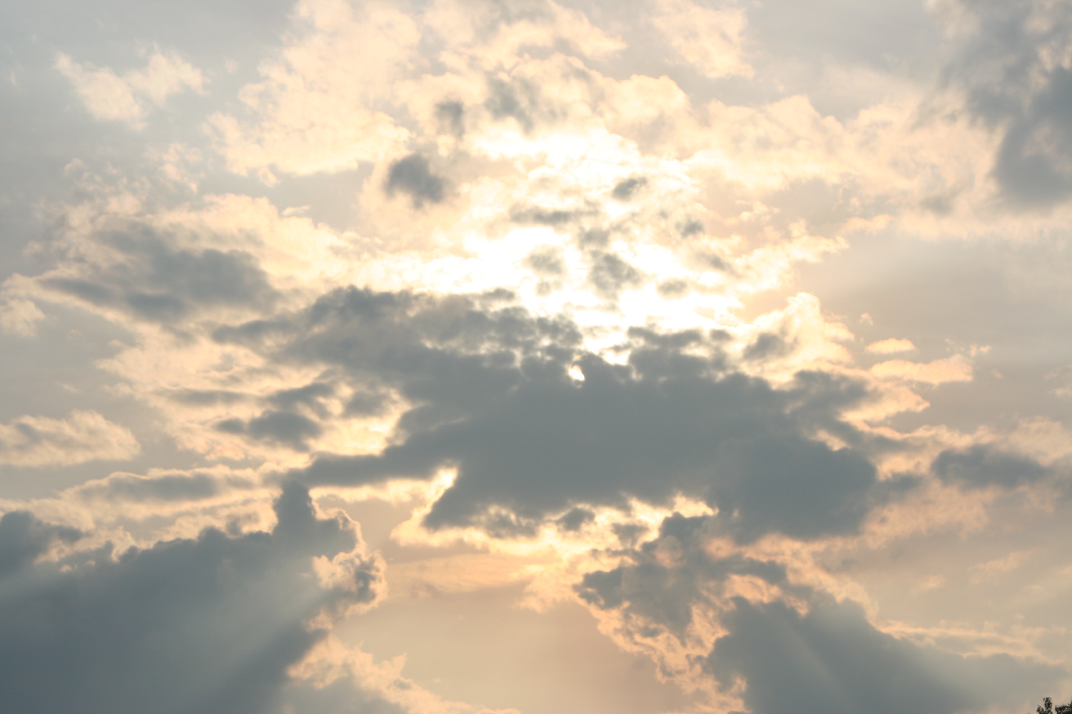 Gladness from the Skies
