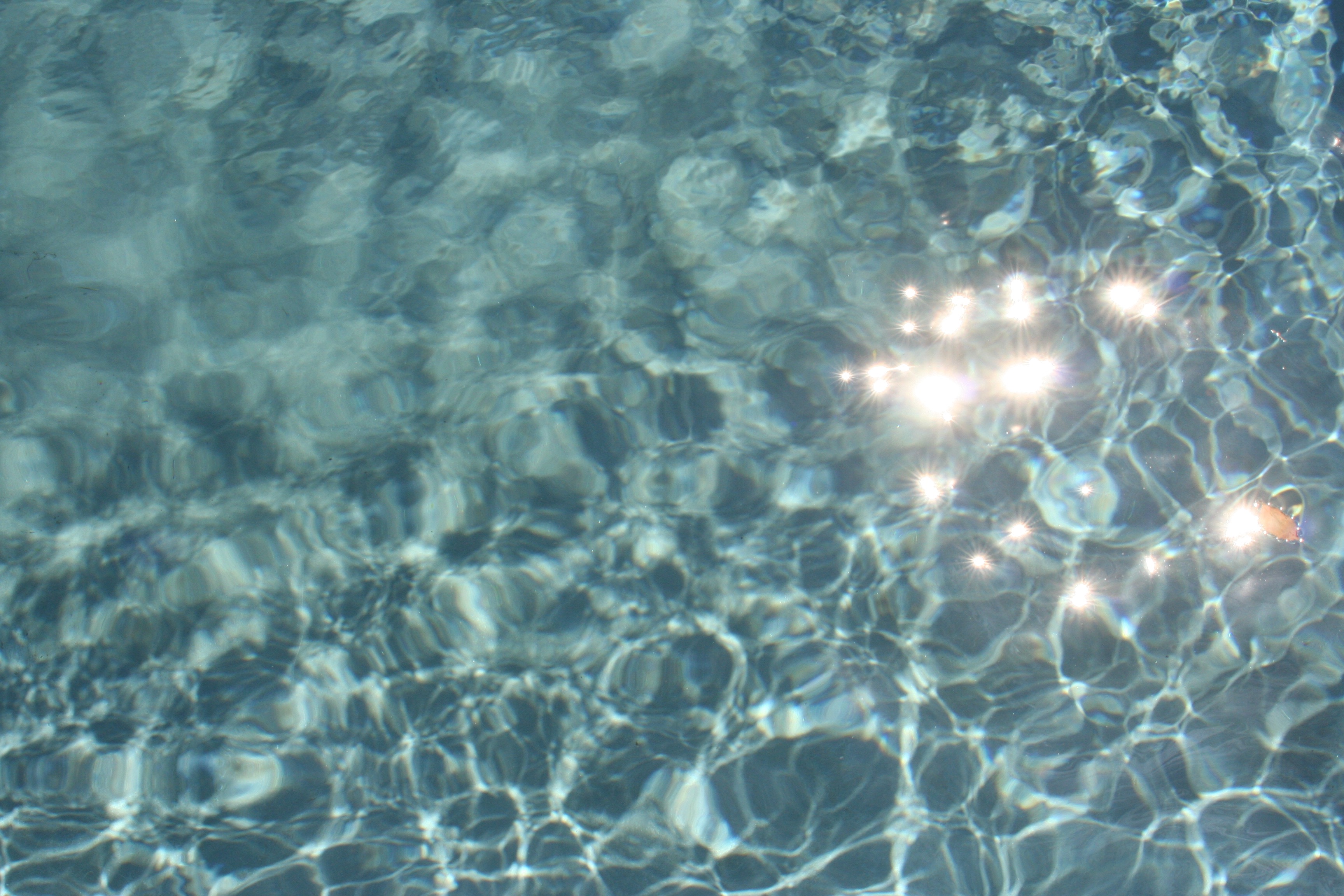 Plunge