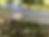 Thumbnail: Stein XL-24F Breader #550