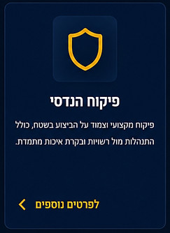 פיקוח הנדסי