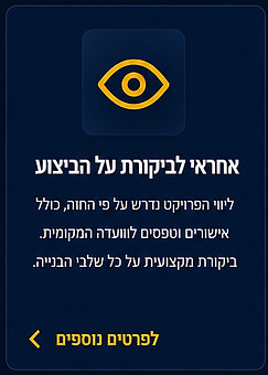 אחראי לביקורת על הביצוע
