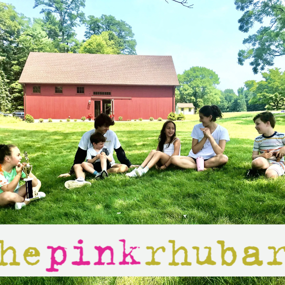 The Pink Rhubarb Summer Workshops for Kids - Weeks of June 26, July 10, 17, 24