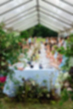 Celebrate The Summer Solstice with The Mather Homestead Junior Board