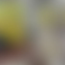 Emina Auteentic Biz 2023