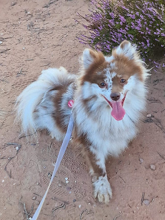 WhatsApp Image 2025-12-29 at 18.28.24.jpeg