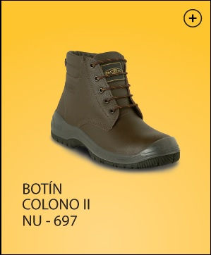 Thumbnail: BOTIN NAZCA COLONO II  NU-697