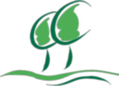 nitzsche_logo_web_edited.png