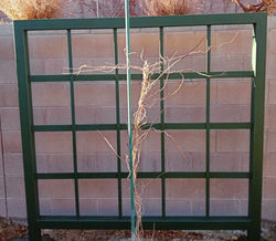 20220110_160328_edited