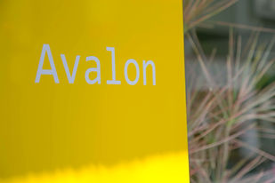 Avalon Hair Salon Tokyo 店内イメージ