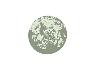 49.png