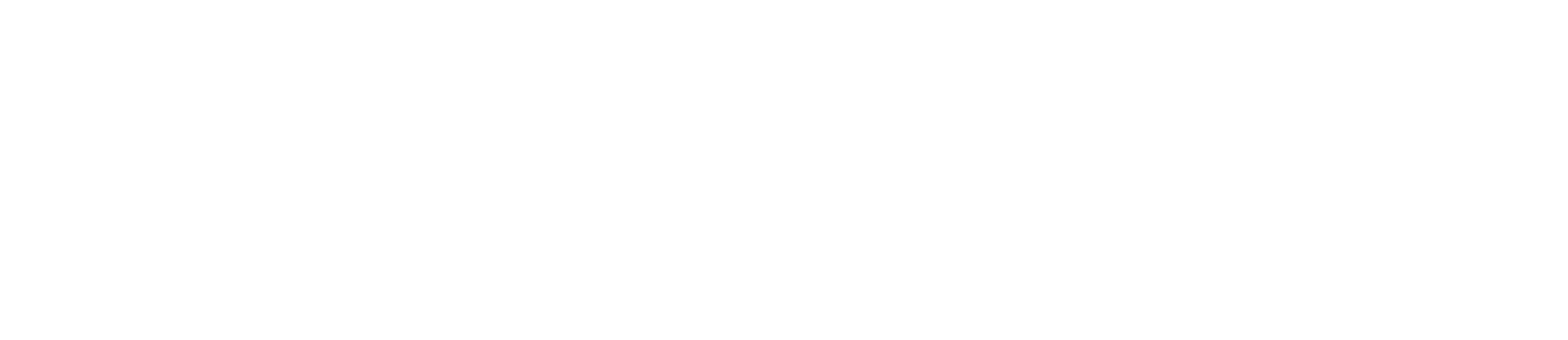 Medelu logo W.png