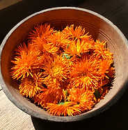Image by Kat Furtak.jpg