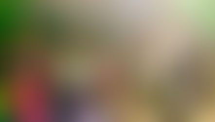 Baile da Advocacia 2025: uma noite de celebração, união e valorização regional