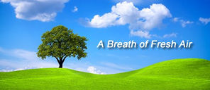 Breathe Easy: How Air Conditioning Enhances Indoor Air Quality