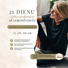 Neirokustiba (PROGRAMMA).png