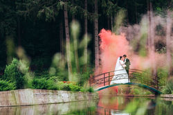 Wedd-207 copy